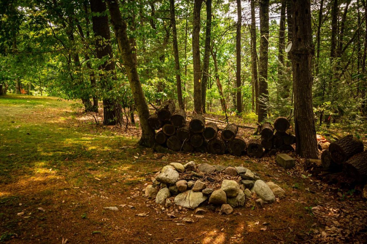 Hikers Haven, A Cozy Cabin Loft Above Bashakill Wildlife Refuge Villa Wurtsboro Екстериор снимка